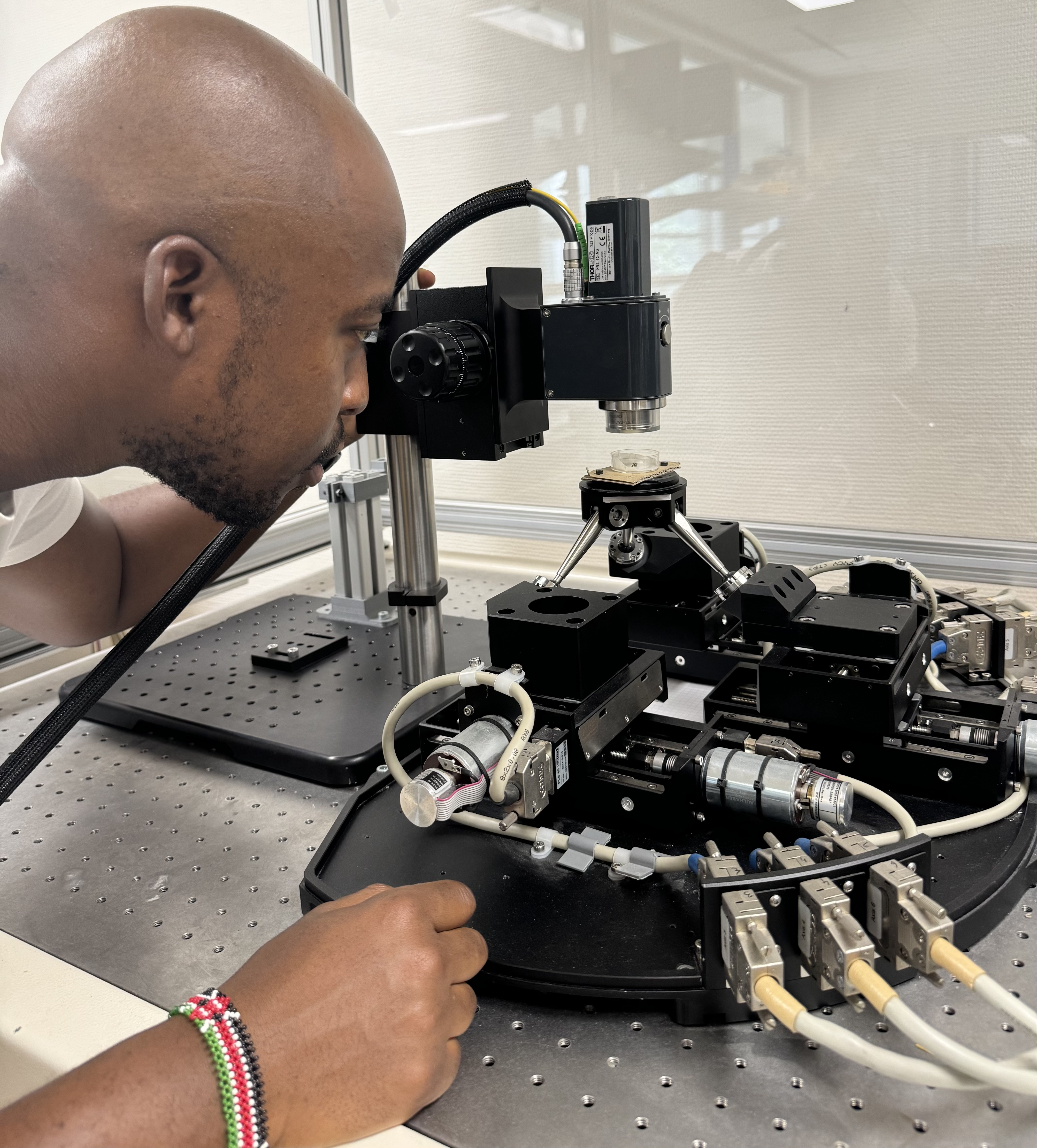 OCT Adaptive Scanning - Overview