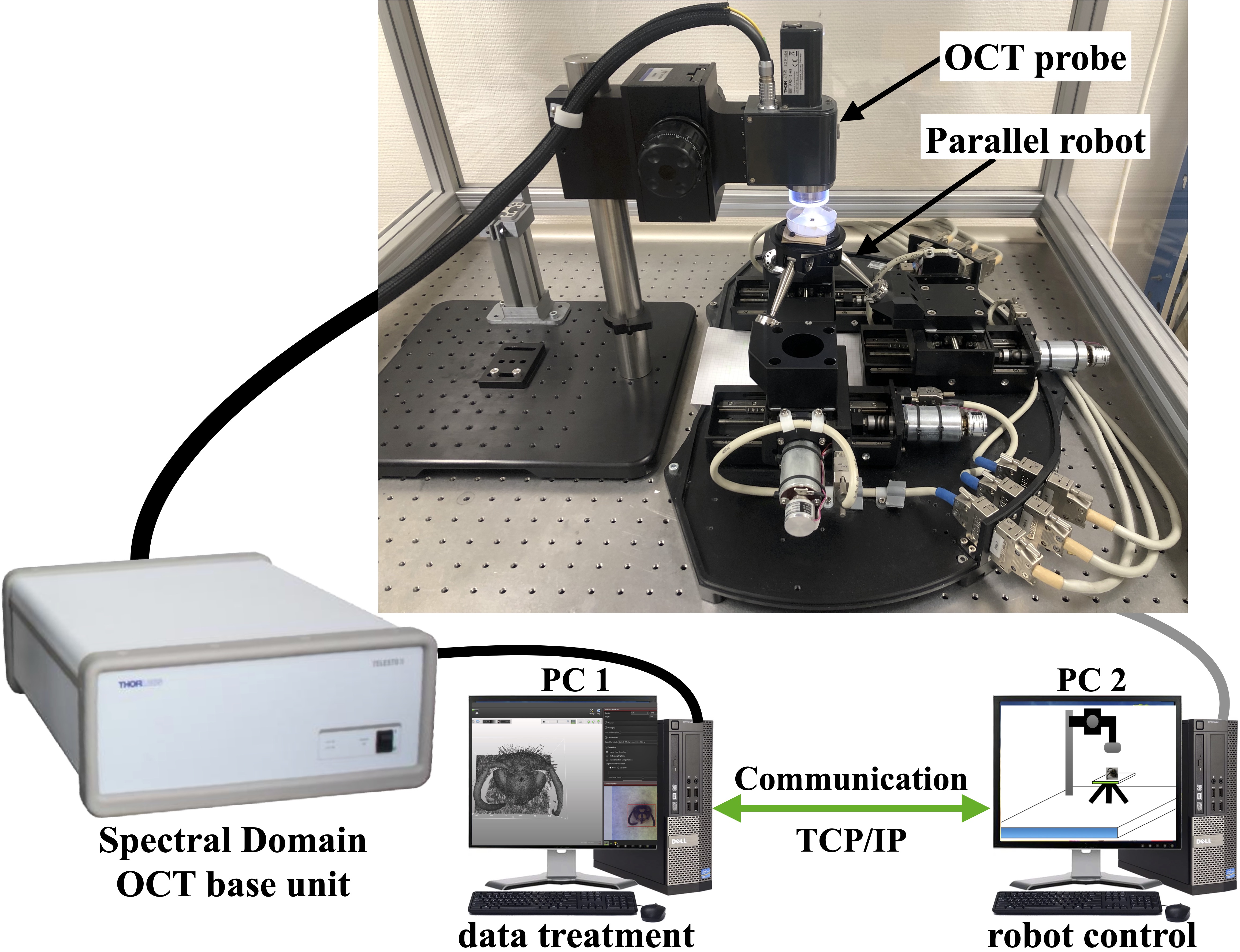 OCT Adaptive Scanning - System