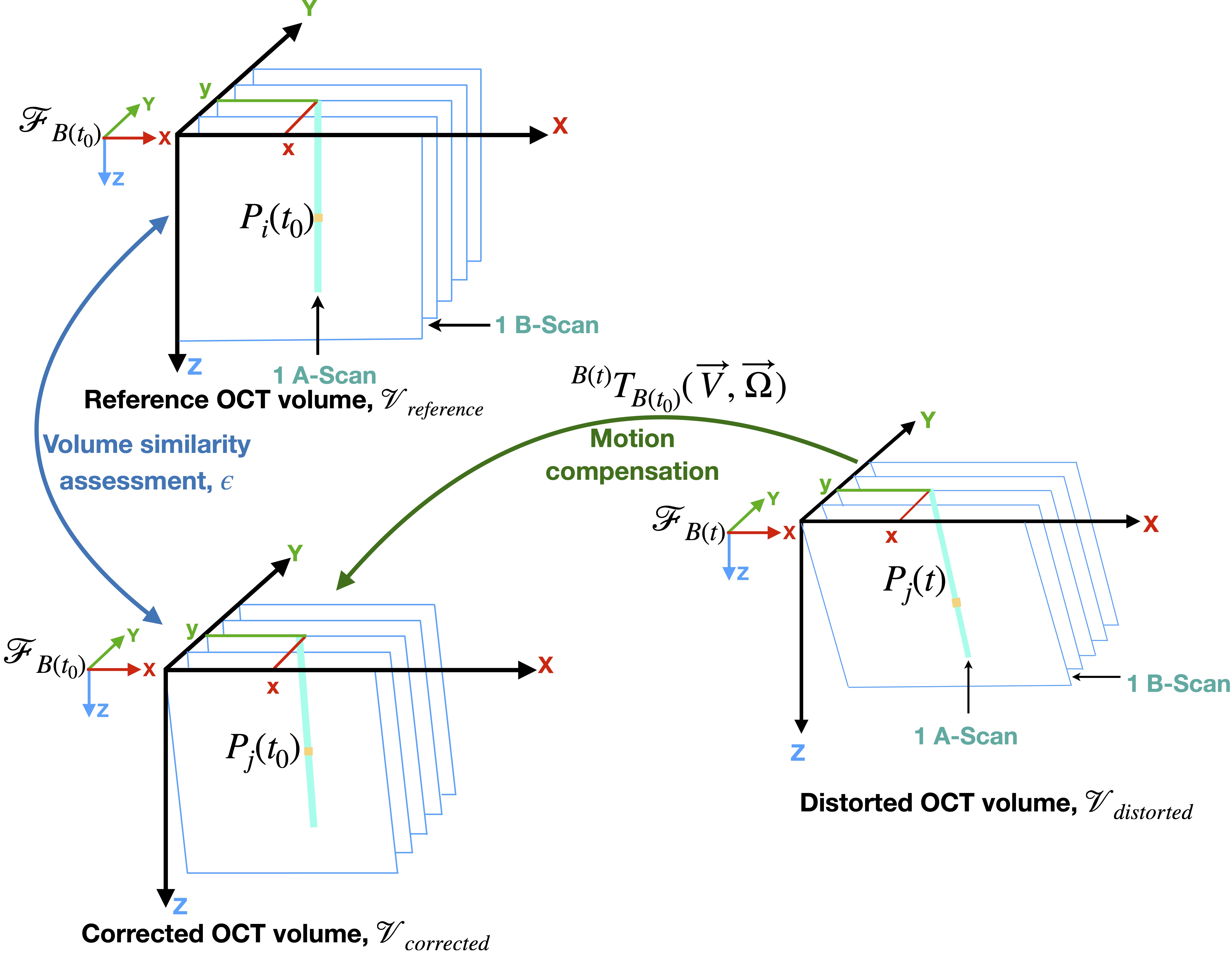 OCT Adaptive Scanning - Analysis